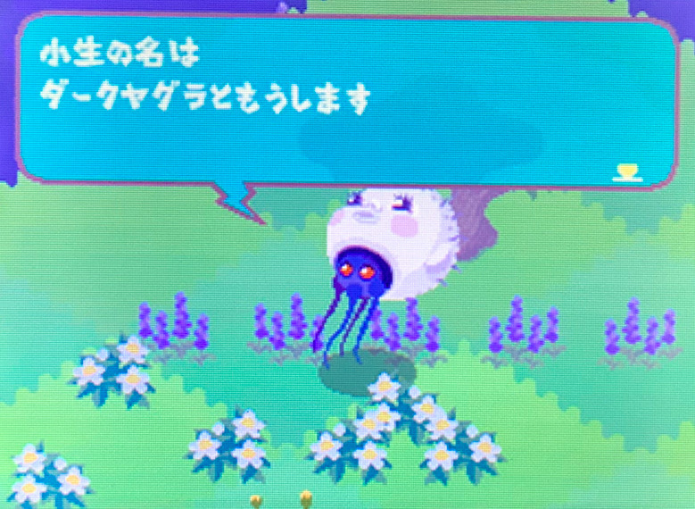 リヴリーガーデン Amazon | リヴリーガーデン(特典無し) | ゲームソフト